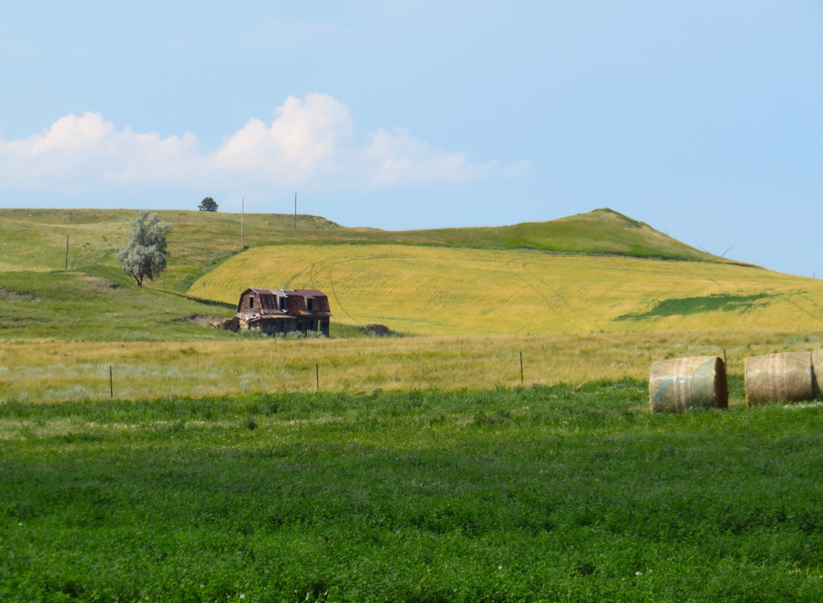 Alone on the Prairie